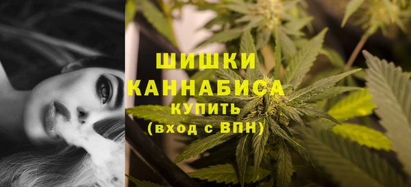 spice Киренск