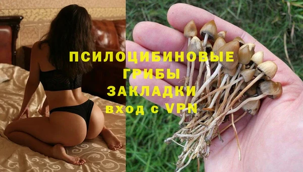 мет Кинешма