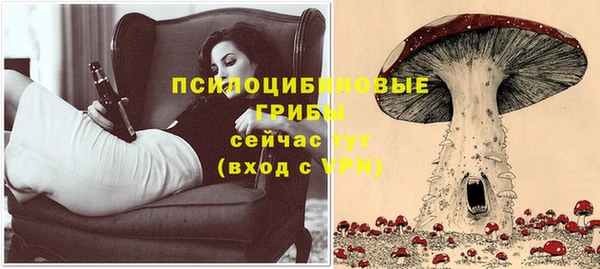 мет Кинешма