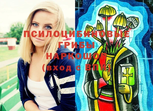 мет Кинешма