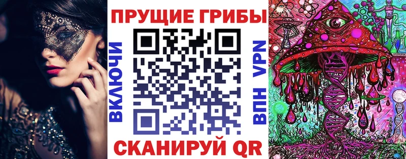 Галлюциногенные грибы GOLDEN TEACHER  Купить  Богучар 