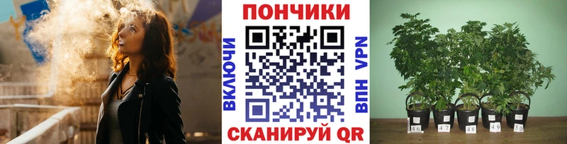 Купить закладки  Богучар  Бошки Шишки Bruce Banner 